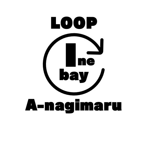 英凪丸　京都府伊根町海上タクシー