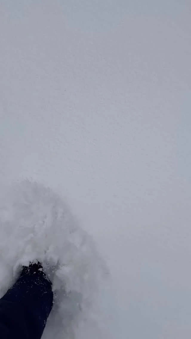 日曜日、気温の低い日の雪はめっちゃパウダーで雪かきが楽だった〜👍

逆に船は凍りついて雪おろしすごく大変

久々のいい雪の日でした❄️

しばらく天気はこましかな？今日は遠征だったので明日からまた頑張りましょう〜🙆‍♂️

〜〜〜〜〜〜〜〜〜〜〜〜〜〜〜〜〜〜〜〜〜

伊根町生まれの船長と伊根湾を遊覧しませんか？

海上タクシー英凪丸
🟤定員:12名
🟤時間:25分程度
🟤予約:DMまたは公式LINEまで
※LINEでのみ公開のクルージングプランも有

【冬限定のこたつクルーズ】

こたつとヒーターを設置した
冬だけの特別仕様で、
伊根湾を一周する貸切クルーズです。

¥料金
1組 10,000円

■備考
・完全貸切
・少人数向け
・通常の遊覧とは内容が異なります

　🪧チャーター予約
　 ¥12,000/1組
  プライベート空間でゆったり深く楽
　 しみたい方向け 🚤
　🪧一般予約
　¥1000/1人(乗り合い)

　世間話から伊根のディープな話ま
　で、色々お喋りしましょう✨

#伊根 #伊根町 #伊根の舟屋 #海上タクシー #こたつのある暮らし