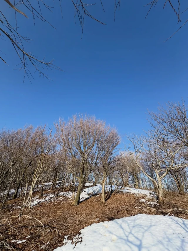 伊根の海だけでなく山をも愛してしまっている男の、山に呼ばれてしまった休みの日

ついに念願の権現山踏破。
権現山とは伊根町と京丹後市の境になる山です。多分伊根町にある名前のついた山の中で1番登頂が厳しいと思う。

雲龍山脇から船津山のルートを開通させ、そのままの勢いで権現山へ
最後はもはや壁を登って、いい運動になりました👍

山の上は雪があるけど、船のこたつはそろそろ終わりかな〜

〜〜〜〜〜〜〜〜〜〜〜〜〜〜〜〜〜〜〜〜〜

伊根町生まれの船長と伊根湾を遊覧しませんか？

海上タクシー英凪丸
🟤定員:12名
🟤時間:25分程度
🟤予約:DMまたは公式LINEまで
※LINEでのみ公開のクルージングプランも有

【冬限定のこたつクルーズ】

こたつとヒーターを設置した
冬だけの特別仕様で、
伊根湾を一周する貸切クルーズです。

¥料金
1組 10,000円

■備考
・完全貸切
・少人数向け
・通常の遊覧とは内容が異なります

　🪧チャーター予約
　 ¥12,000/1組
  プライベート空間でゆったり深く楽
　 しみたい方向け 🚤
　🪧一般予約
　¥1000/1人(乗り合い)

　世間話から伊根のディープな話ま
　で、色々お喋りしましょう✨

#伊根の舟屋 だけじゃない伊根町
#伊根町山間部 #伊根町異常愛者